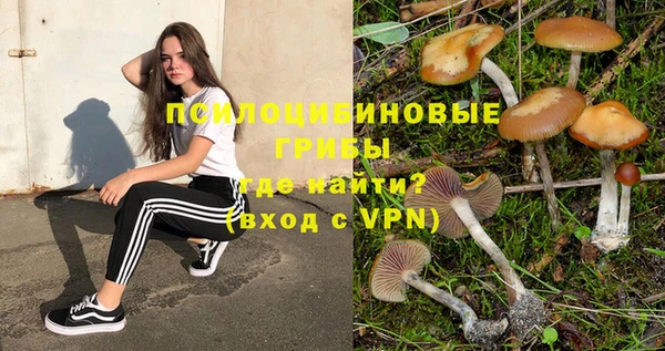 прущая мука Нея